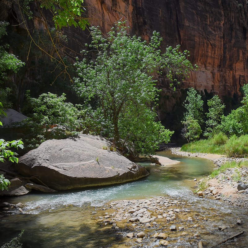 Zion National Park