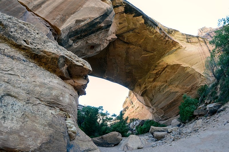 Natural Bridges National Monument