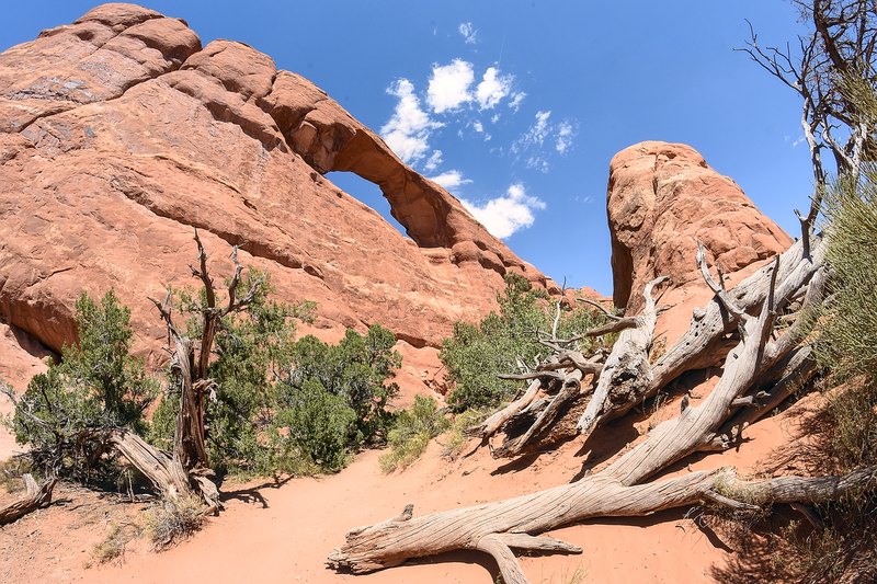 Arches National Park