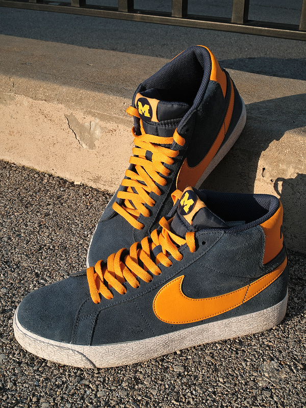 Nike SB x Michigan