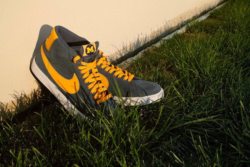 Nike SB x Michigan